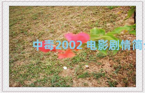 中毒2002 电影剧情简介